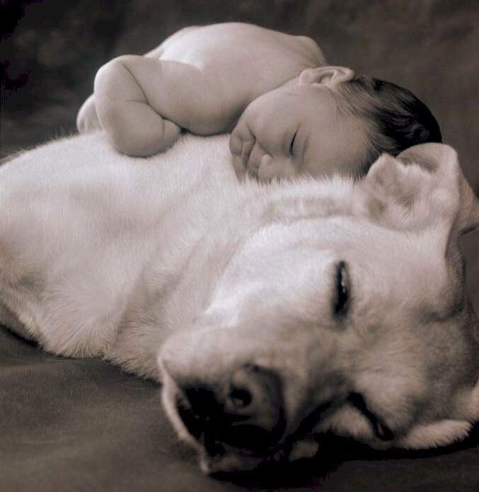 Baby & Dog